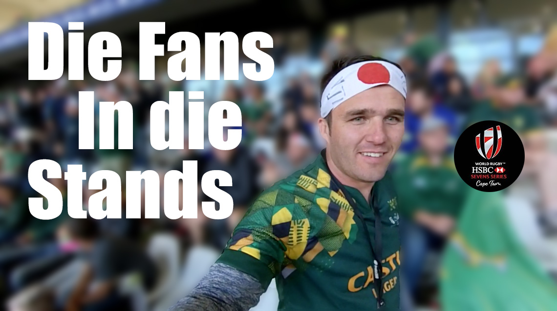 Read more about the article The Fans in the Stands